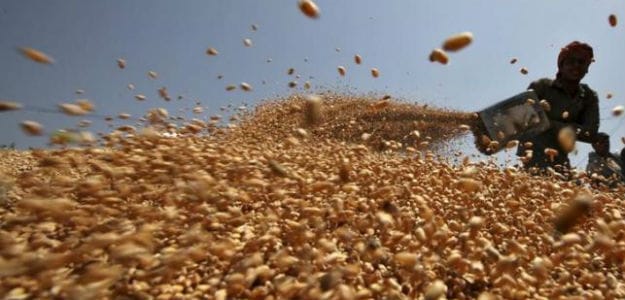 DGFT Directs Regional Authorities To Make An Exception To Certain Wheat Exporters