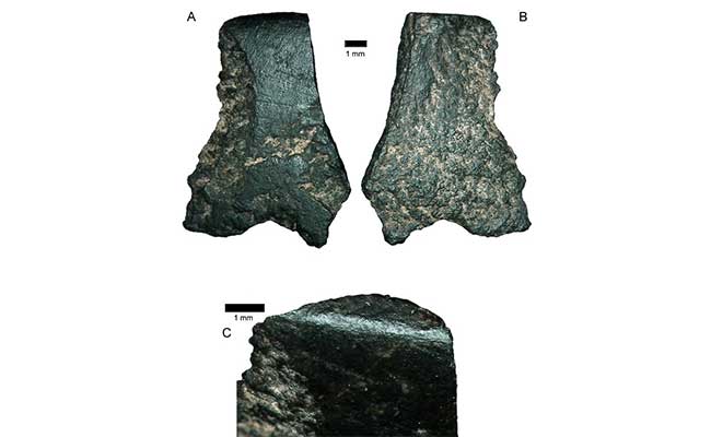 around-50-000-year-old-axe-found-in-australia-scientists-say-world-s