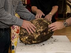 Man Finds 22-Pound Chunk Of Butter Estimated To Be More Than 2,000 Years Old