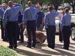 Firefighters Gave A Final, Farewell Salute To The Last 9/11 Rescue Dog