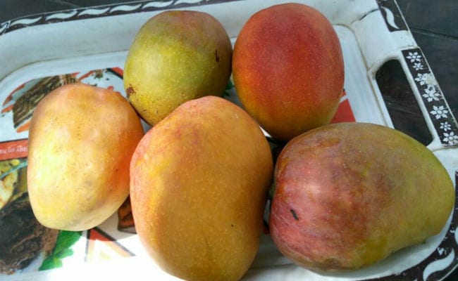 5 Best Mango Recipes: गर्मियों में आम से बनने वाली 5 रेसिपी