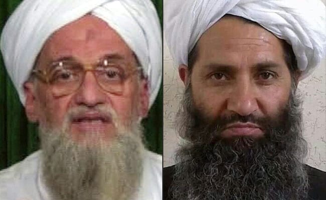 Al Qaeda Chief Backs New Taliban Head As 'Emir Of Believers'
