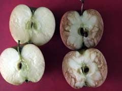 Teacher Used Apples to Explain How Bad Bullying is. Her Post is Now Viral