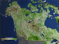 Arctic Getting Greener Due To Climate Change: NASA