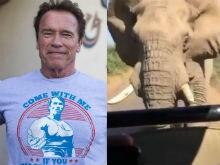 The Moment Arnold Schwarzenegger Was Charged by an Elephant