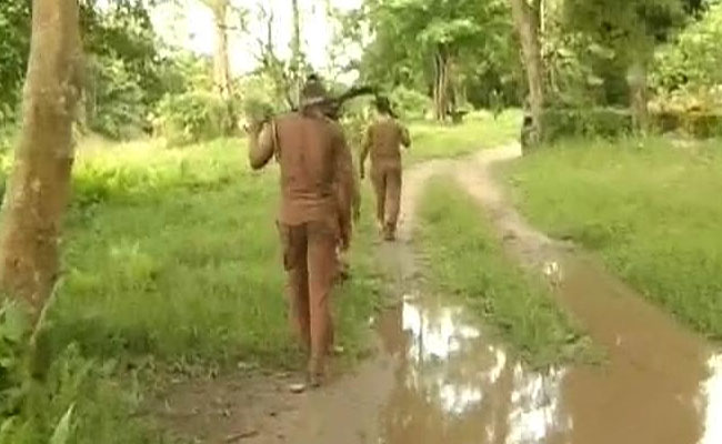 In Assam's Kaziranga, Challenges Mire Efforts To Save One-Horned Rhino