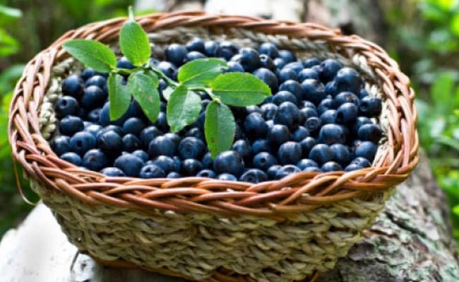 blueberries