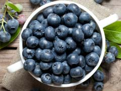 Eat Blueberries To Fight Age, Memory Loss: Study