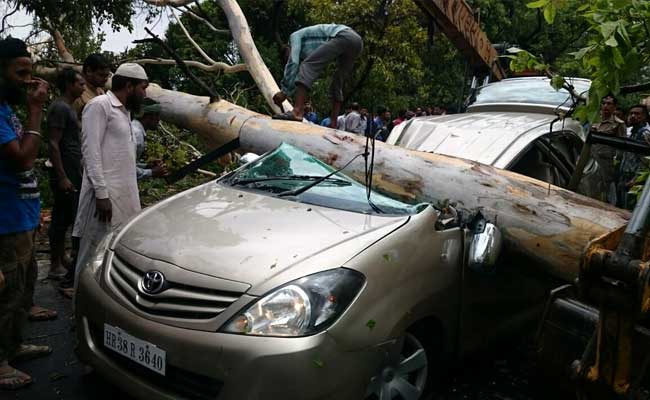 आंधी के कारण चलती हुई इनोवा कार पर गिरा पेड़, 3 लोगों की मौत, हादसे से जुड़ीं तस्वीरें