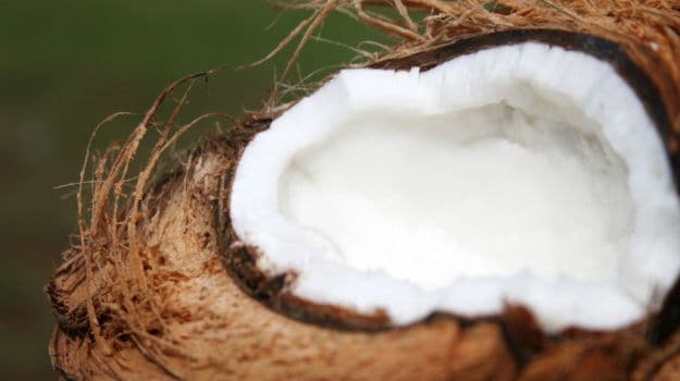 coconut milk