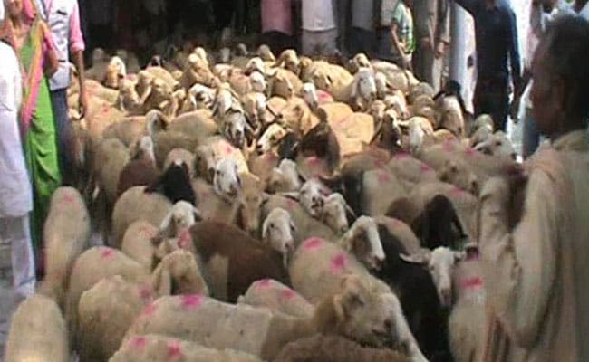 In Deoria, Angry Protesters Get Help To Say 'Baa' To Officials