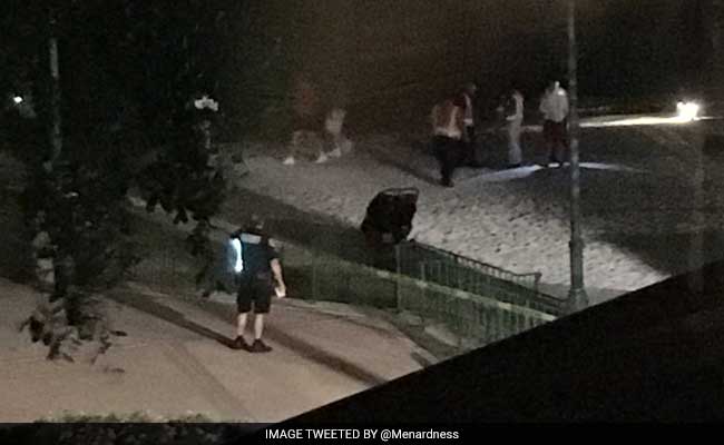 US Toddler Believed Dead After Alligator Attack At Disney Resort