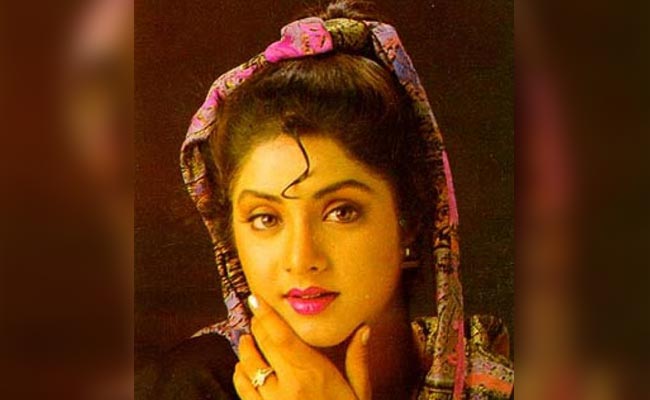 Divya Bharti Birthday Special: देव आनंद भी थे इनके फैन, सिर्फ 2 साल के करियर में ही बन बैठी थीं बॉलीवुड की टॉप एक्ट्रेस