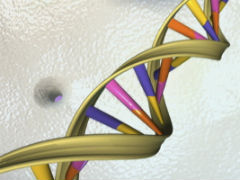 DNA की मरम्मत में होगी मुश्किल अगर करते हैं नाइट शिफ्ट