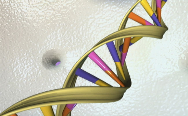 Scientists Propose Project To Build Synthetic Human Genome