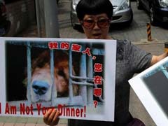 China City Holds Dog-Meat Eating Festival Despite Protests