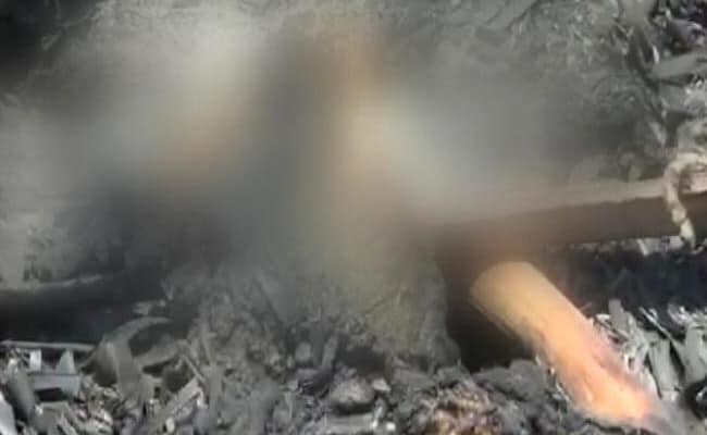 तमिलनाडु में दो किसानों ने कथित तौर पर 80 कुत्तों को मारकर जलाया