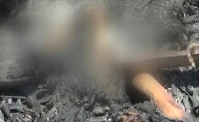 Nearly 80 Dogs Killed In Tamil Nadu, 2 Farmers Arrested