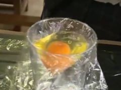 How Japanese Students Hatched an Egg Using a Cup and Cling Wrap