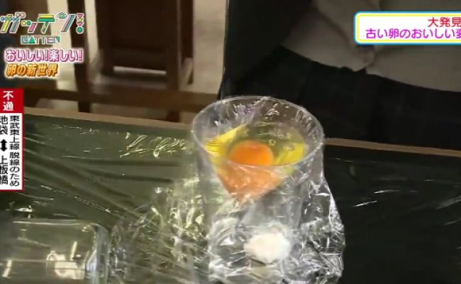 How Japanese Students Hatched an Egg Using a Cup and Cling Wrap