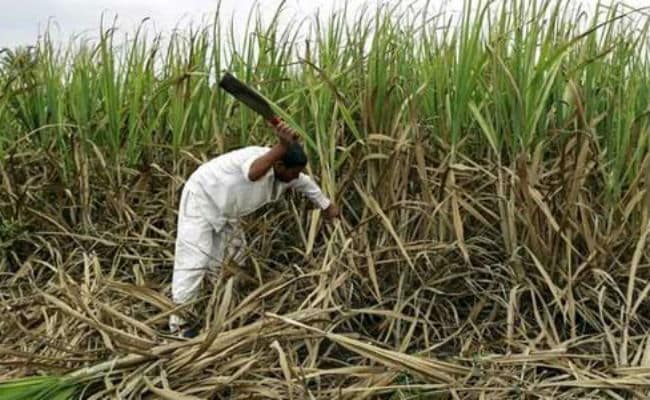 In Madhya Pradesh, Helpless Farmers Protest Acute Shortage Of Fertilisers