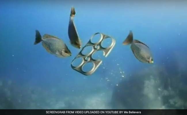 Edible Six-Pack Rings Seek To Limit Harm To Sea Life