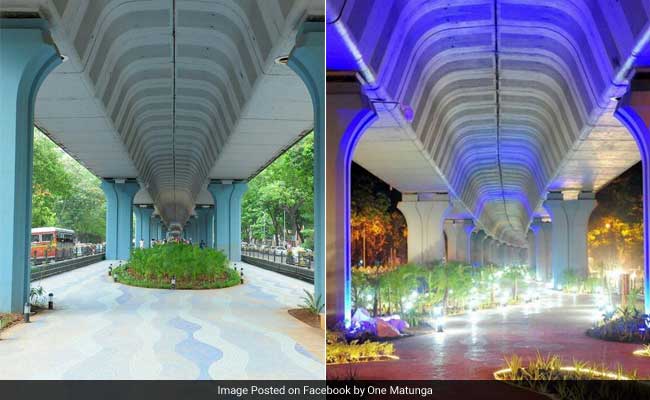 The Secret Garden: Unexpected Beauty Beneath This Mumbai Flyover