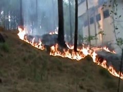 Forest Fires Rage In Pirpanjal Region In Jammu And Kashmir