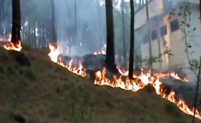 Forest Fires Rage In Pirpanjal Region In Jammu And Kashmir