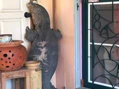 When Godzilla Comes Knocking: Huge Lizard Tries to Enter Home in Thailand