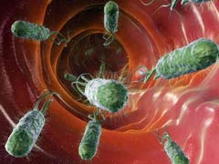 Gut Bacteria May Cause Rheumatoid Arthritis