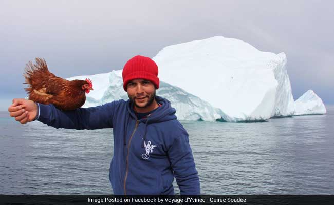 This Globetrotter Hen Is Sailing Around The World With Her Human