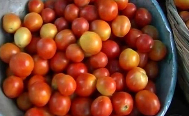 Rs 100-A-Kg Tomatoes Despite Glut. NDTV Investigates