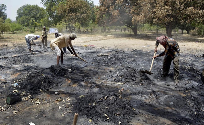 Green Panel Notice To UP Government On Tree Cover Loss In Mathura