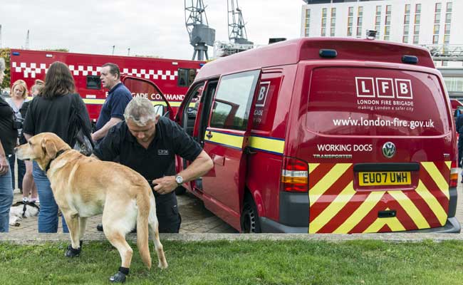 'Potty Calls' Cost London Fire Brigade Thousands A Year