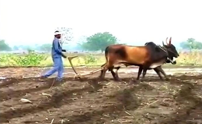 महाराष्ट्र: कैबिनेट का अहम फैसला, जल्द ही ग्राहक को फल-सब्जियां बेच सकेंगे किसान