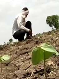 Drought-Hit Marathwada: Monsoon Delayed, Farmers Frantic