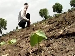 Halting Irrigation Projects In Maharashtra's Marathwada May...: BJP MLA Halting Irrigation Projects In Maharashtra's Marathwada May...: BJP MLA