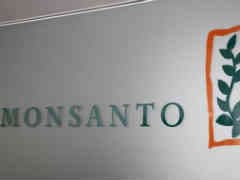 Government Cuts Monsanto's GM Cotton Seed Royalty By 20%