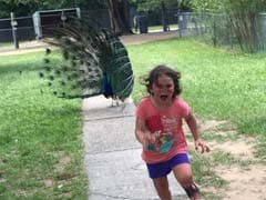Pic of Little Girl Being Chased by Peacock Starts Epic Photoshop Battle