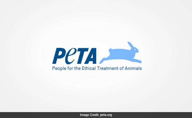 PETA Denounces Animal Cruelty At Sheep Farms In Chile