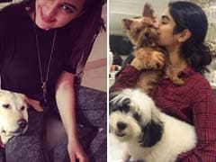 Five Star Pets Who Are As Adorable As Their Celeb Owners