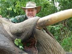 Australian Lawmaker: I Shot And Ate An Elephant - And I Liked It