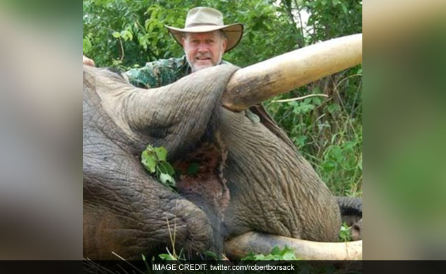 Australian Lawmaker: I Shot And Ate An Elephant - And I Liked It