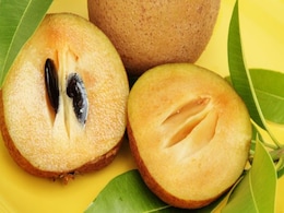 Sapota (Chiku) Benefits: गर्मियों में करें इस फल का सेवन पाचन के साथ "Weight" भी होगा कंट्रोल Sapota (Chiku) Benefits: गर्मियों में करें इस फल का सेवन पाचन के साथ "Weight" भी होगा कंट्रोल