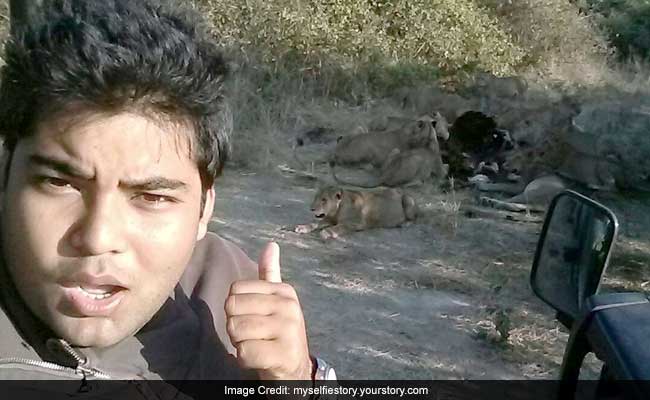 Don't Take Selfie With Lions: Gujarat Forest Department