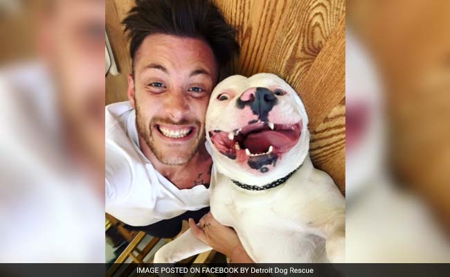 Mich. Officials Demanding That Man Part With Adopted Dog