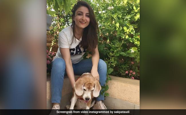 Keeping Up With Soha Ali Khan and Her Pack of Pooches