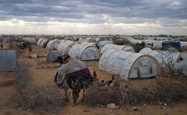 Kenya Aims To Cut Size Of Somali Refugee Camp By End Of 2016