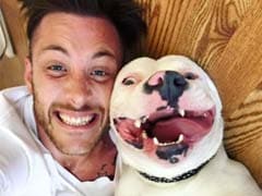 Mich. Officials Demanding That Man Part With Adopted Dog
